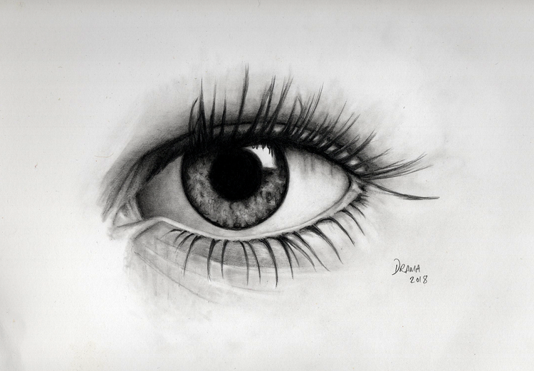 Eye