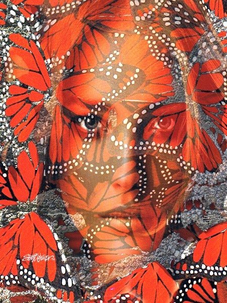 Monarch Moment