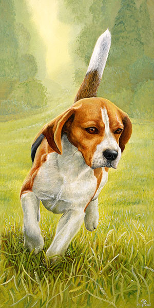 Charging Beagle