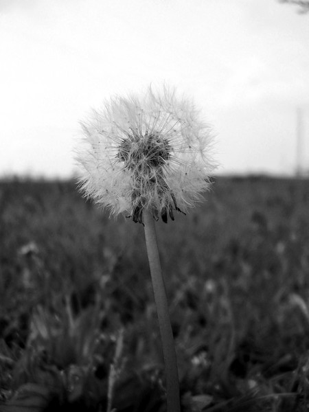 Only a moment before it's gone