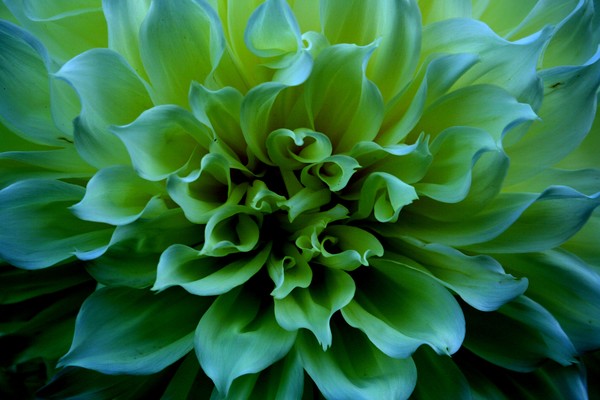 The Intricacies of Nature