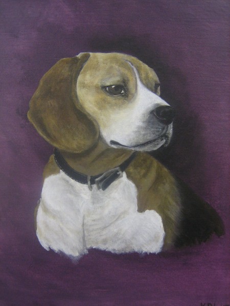 The Beagle