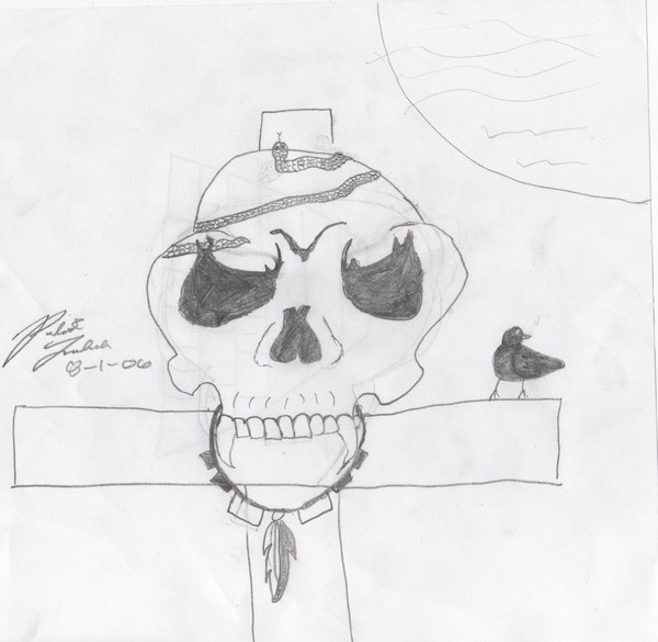 Indian skull