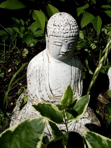 Buddha praying