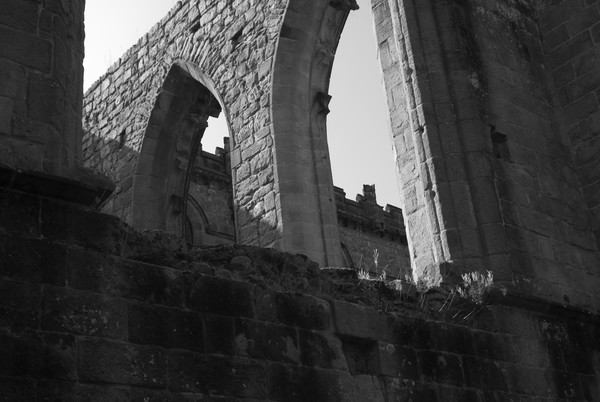 Bolton Priory Detail