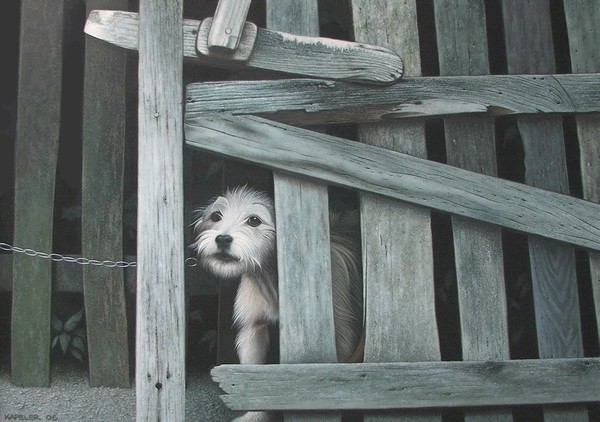 Beware of dog