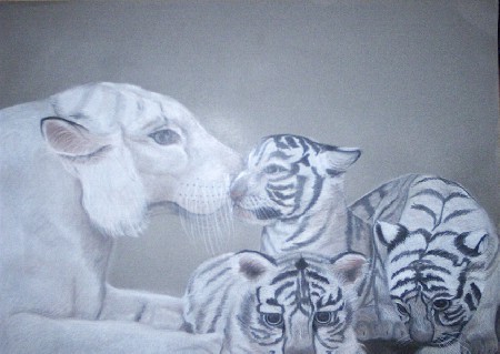 White Tigers