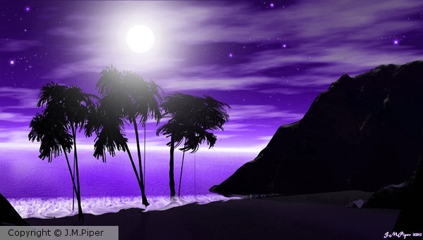 Palm Shadows Beach
