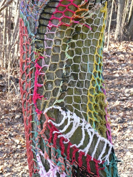 Rainbow Bark