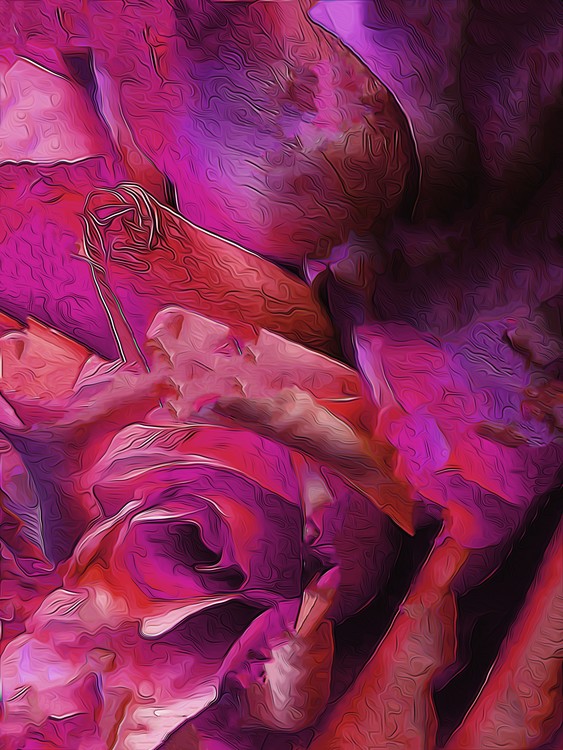 petal power pink purpke