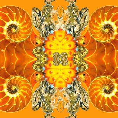 Second Chacra - Mandala