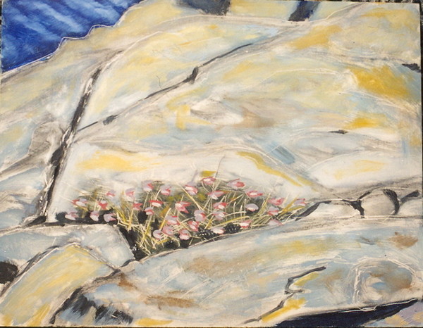 Flowers in the Rock
