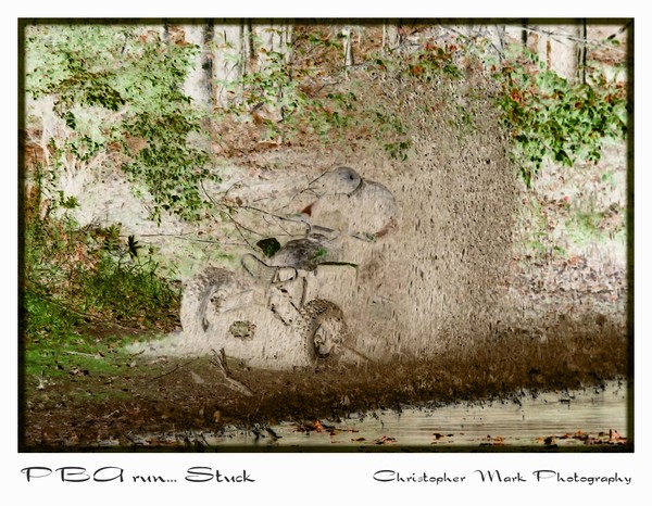 Fun in the mud