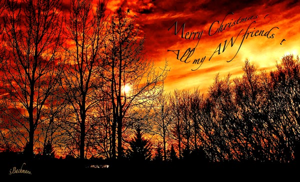 Merry Christmas all my AW friends !!