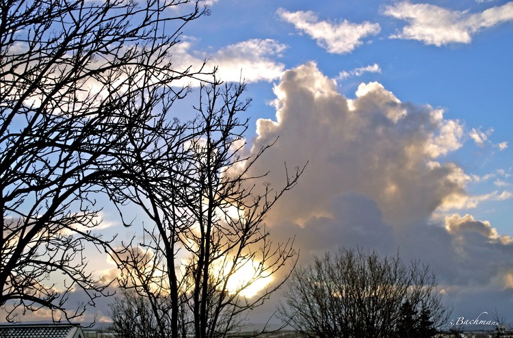  Winter sky !