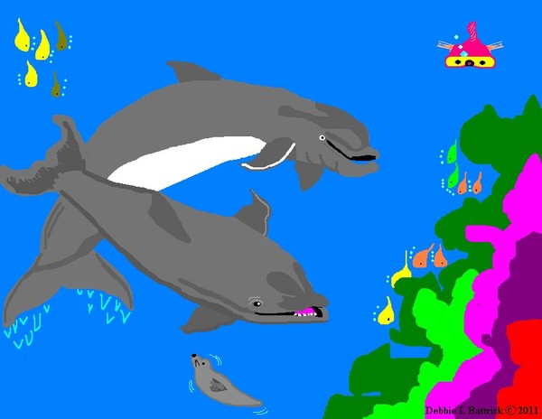 MY DOLPHINS