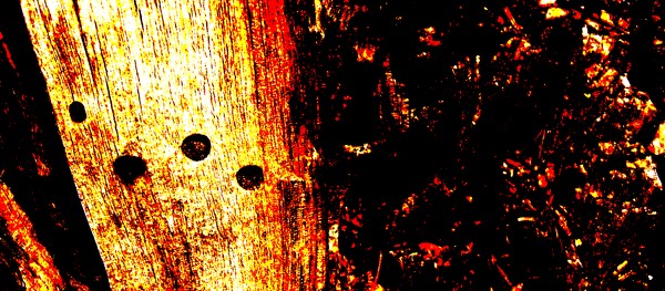 Mod Wood...Posterized