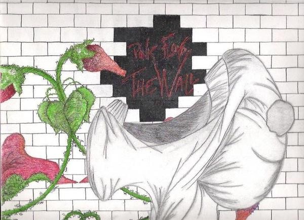 pink floyd