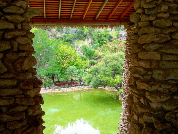 Garden Window