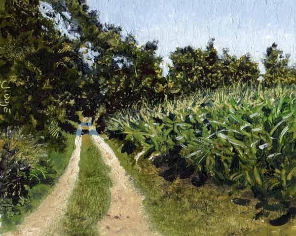 Kikkerbos, Jubbega