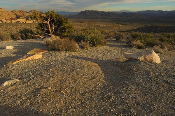 A Desert Walk
