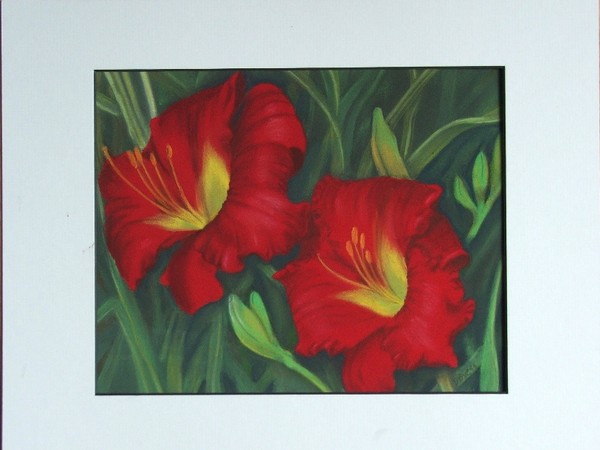 daylilies