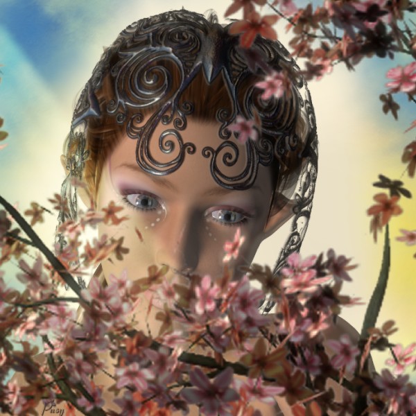 staring at the cherry tree