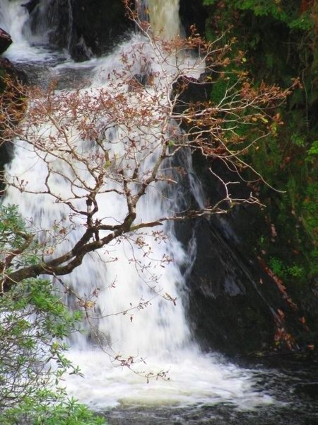 Falls