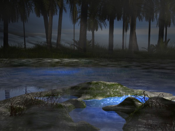 Light In The Swamp