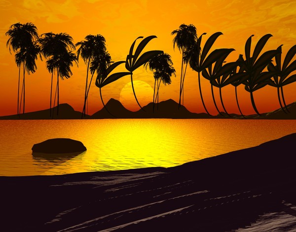 Carribean Dreams