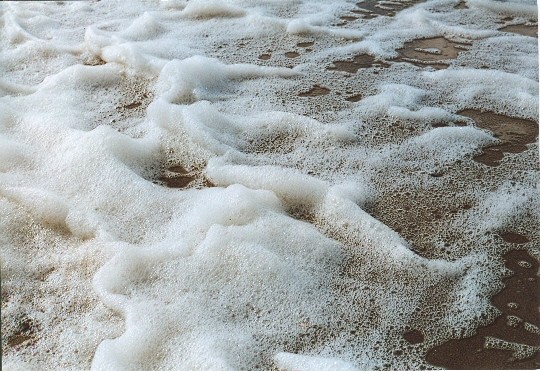 Sugarsea