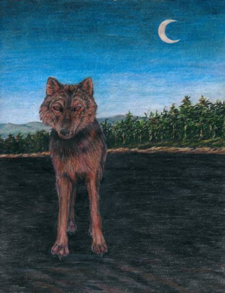 The Wolf