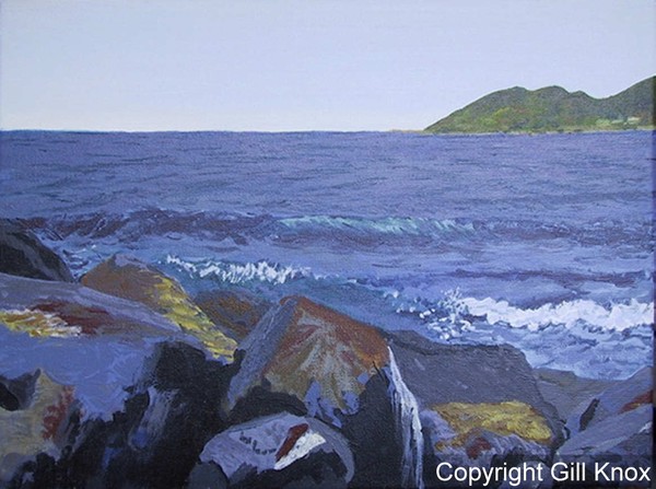 Wild South Coast