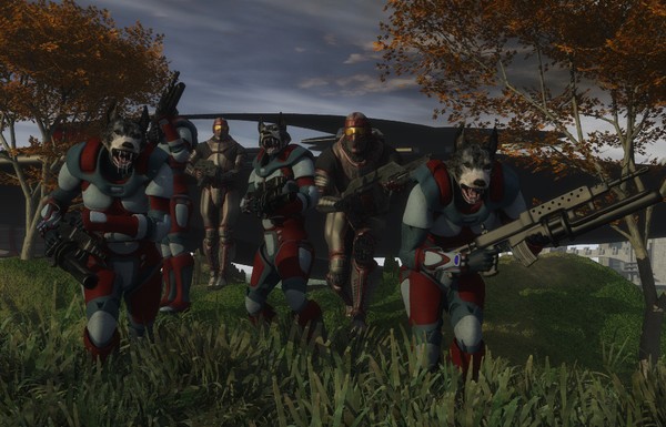 Wolf pack