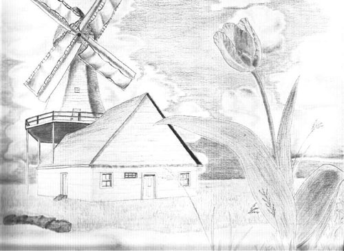 Tulip and The Windmill