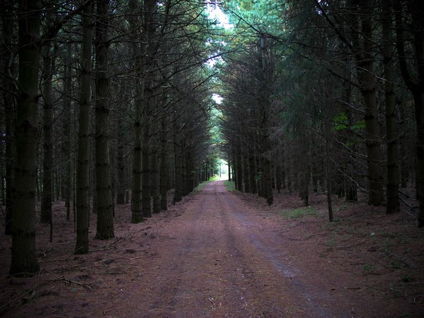 Light at the end of the tunnel