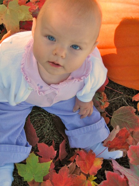 pumpkin patch
