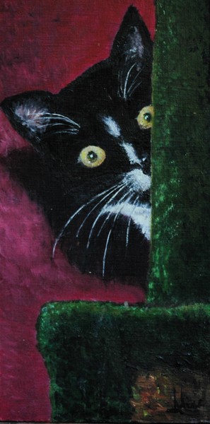 Scary Kitty