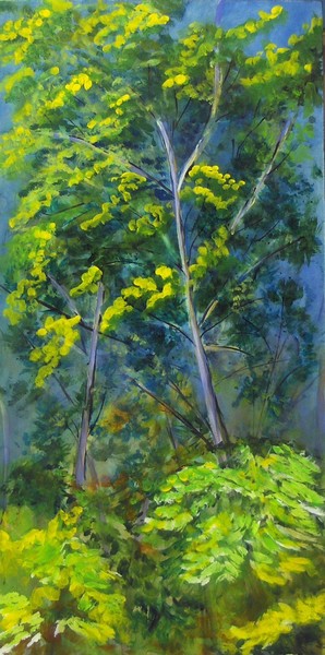 Trees in morning light