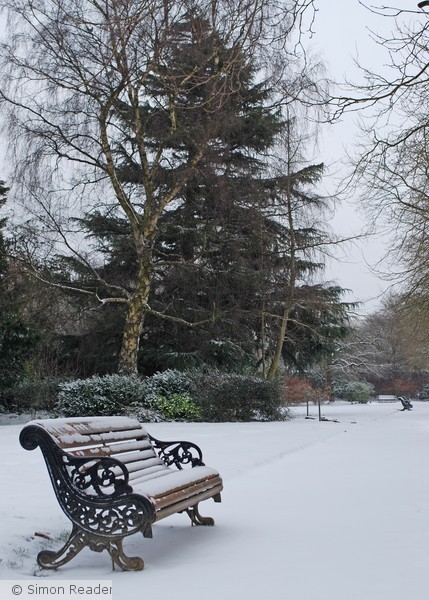 A Cold Walk In The Park I
