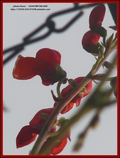 ...honoring the moments in life..