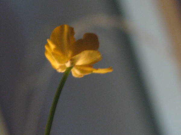 reaching..to
