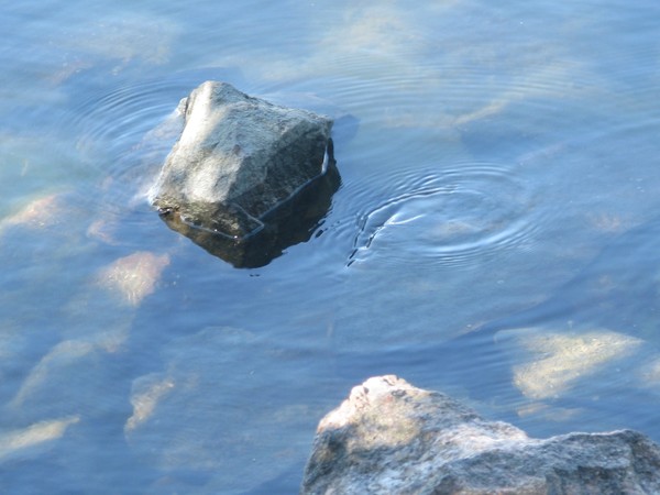 SEA TODAY