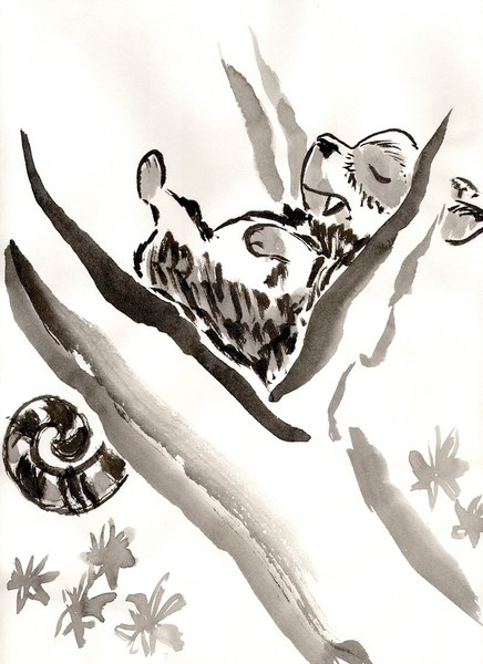 The Napping Tree