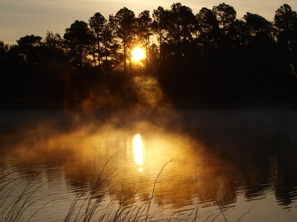 Florida Morning