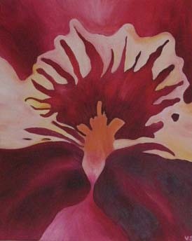 Orchid 1