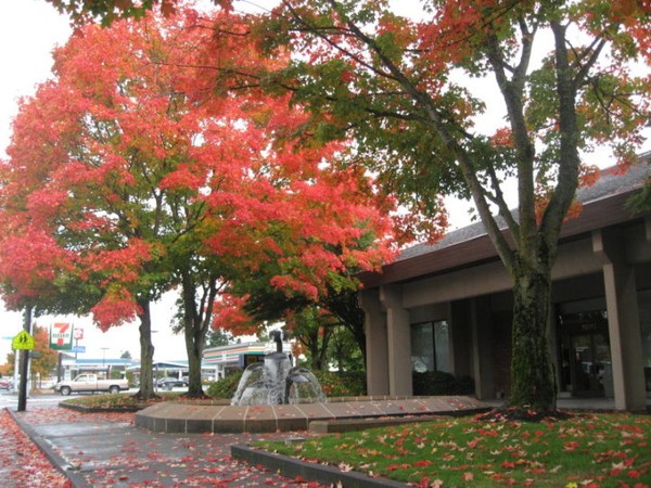 Lovliness of Fall