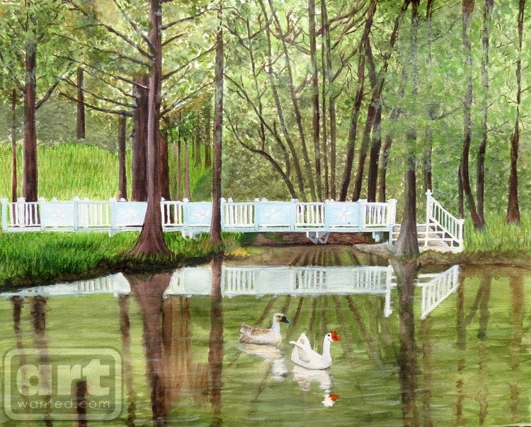 duck Pond