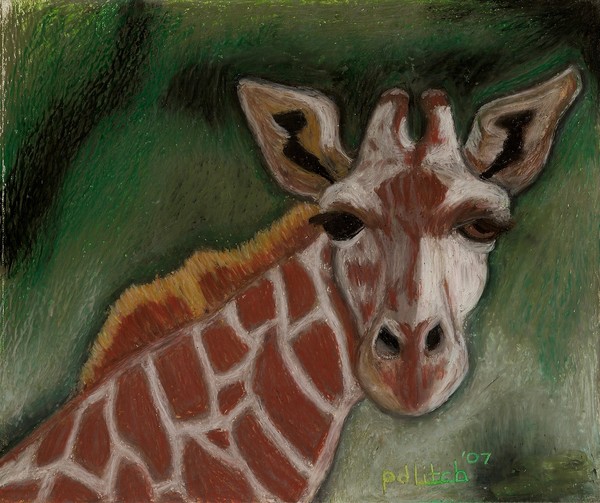 Endearing Giraffe