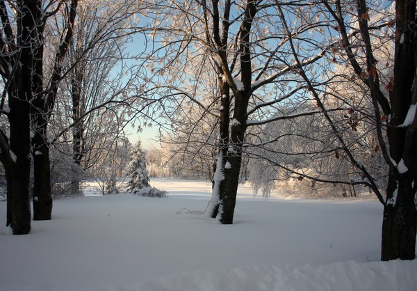 *HIVER 2010*